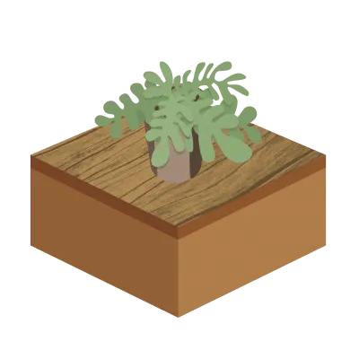 Holzboden_Outdoor_Zeichenflache_1
